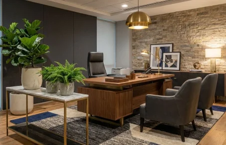 Home Office Setups