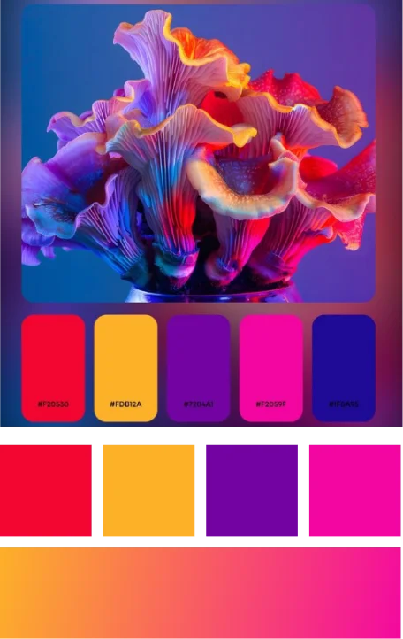 Vibrant Accent Colors